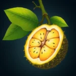 panapen suenio significado