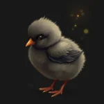 pollito negro suenio significado